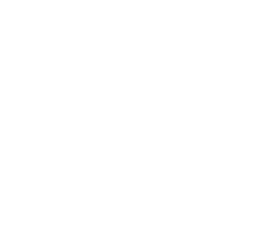 Or Bleu Festival Photo